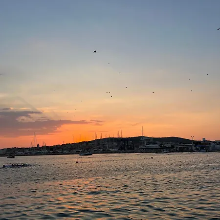 Maja Vodice